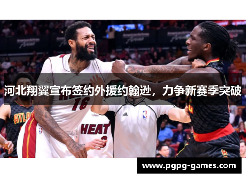 河北翔翼宣布签约外援约翰逊，力争新赛季突破