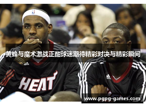 黄蜂与魔术激战正酣球迷期待精彩对决与精彩瞬间